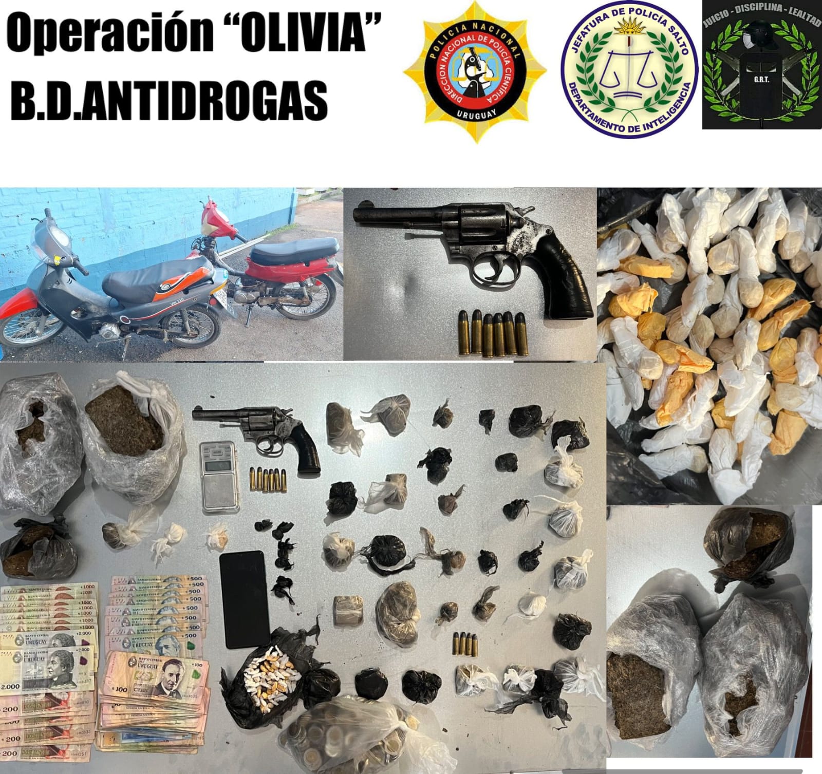 Operación Olivia: Allanamiento y Detenciones en Salto